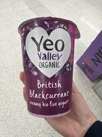 British Blackcurrant Creamy Bio Live Yogurt