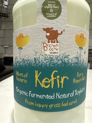 Organic Fermented Natural Yoghurt — pack