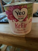 Kefir rhubarb fermented yoghurt
