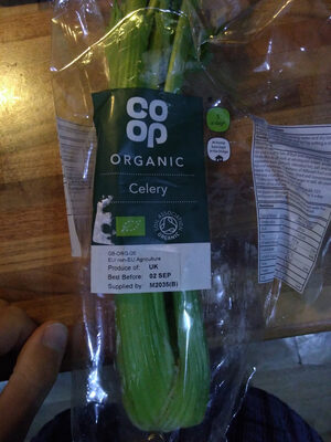 Organic Celery — pack