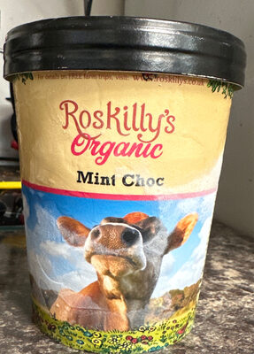 Mint choc ice cream — pack